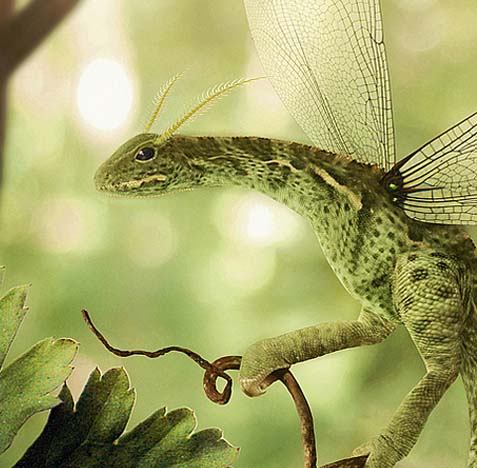 【注册机】可用的攻击网站的方法